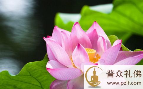 不念佛没生病，念佛后反而念出病来