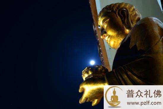 一切众罪中,杀生最重;诸善行中,护生第一