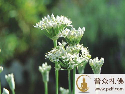 五句话,让你受用终身