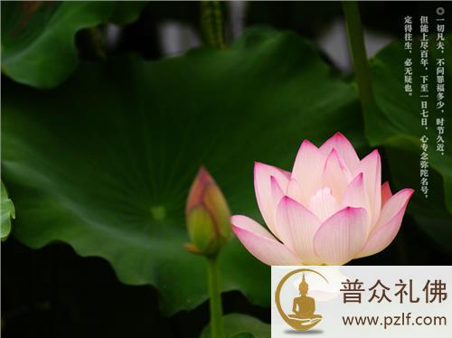 从台湾风流富豪黄任中看邪淫果报