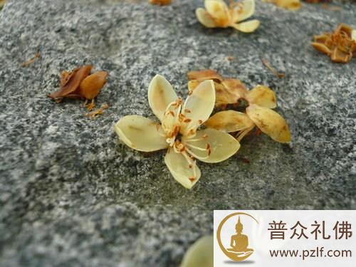 一切都会好的,都会有解决的办法