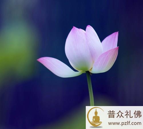 人的一生就是一场戏，我们都是演员