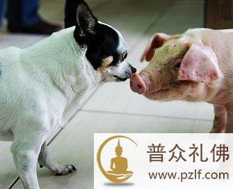 人为什么不能将爱放大一点