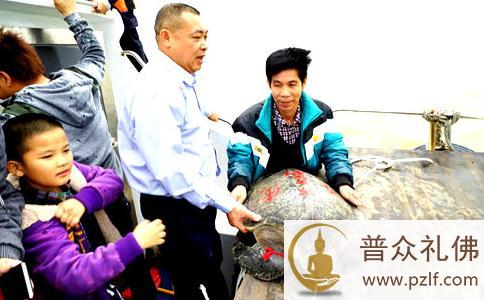 50余斤海龟被放生大海 \