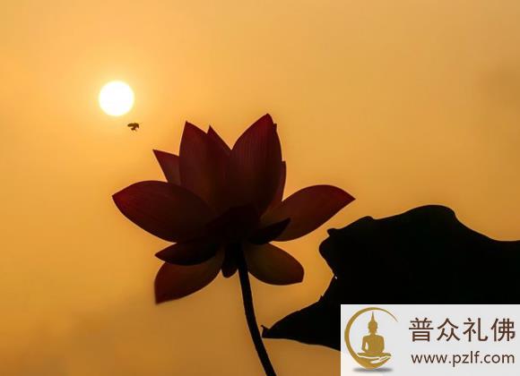 人各有因缘,不自负也不自弃