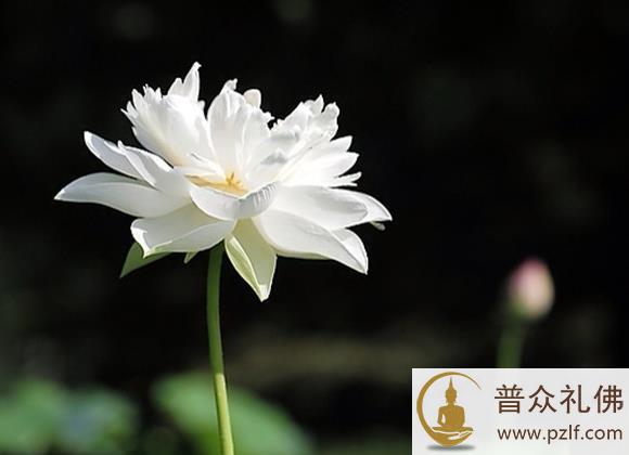 一个人经历越多,抱怨就越少