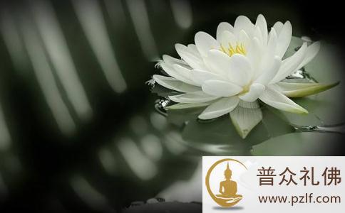 三则杀生遭受现世报的事例 三则杀生遭受现世报的事例