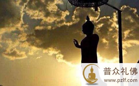 人体后背竟有一撮猪毛?真相令人震惊 人体后背竟有一撮猪毛?真相令人震惊