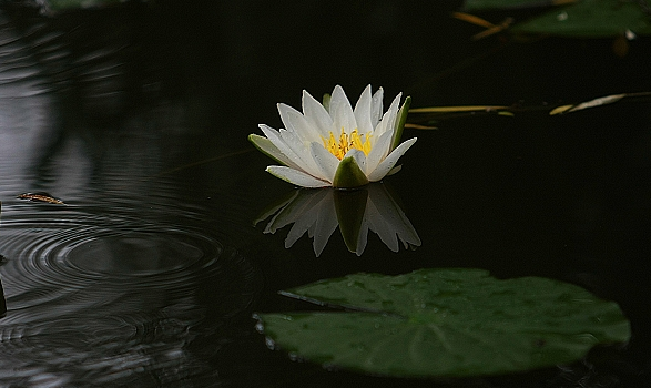 吴立民地藏经解释