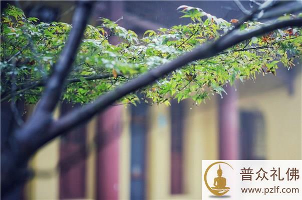 临终时老实念佛，必能往生极乐世界