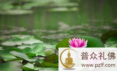 今生享福，还要把福报延续到下一世