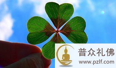 为什么他能做到,而我做不到