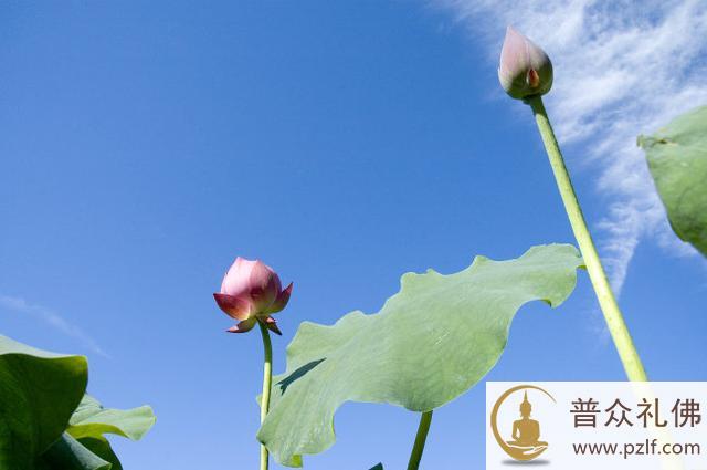 从科学和医学来研究善恶有报