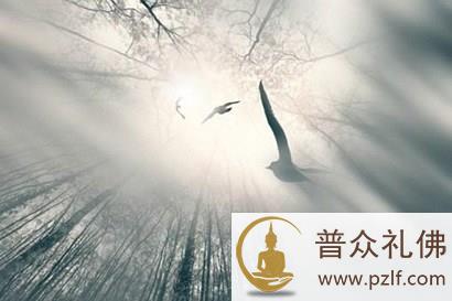 人心莫测,于我有何关系